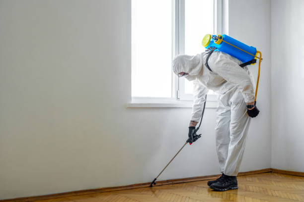 Best Bed Bug Extermination  in Belfast, ME