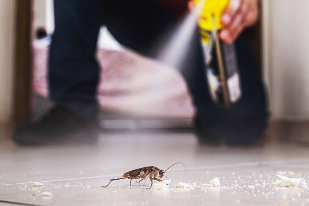 Best Best Pest Control Companies  in Belfast, ME